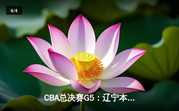 CBA总决赛G5：辽宁本钢逆转广东宏远，成功卫冕总冠军 - 4